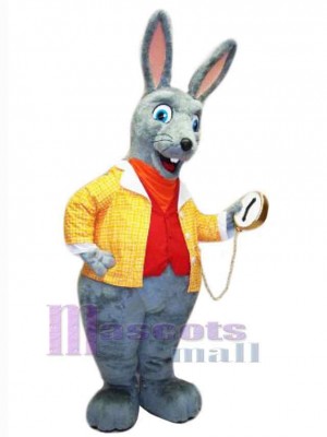 Rabbit in Yellow Coat Mascot Costume Animal