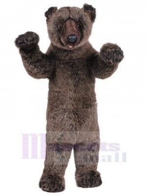 Bear mascot costume