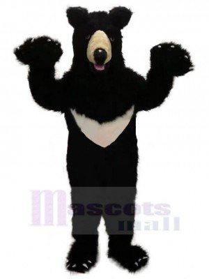 Bear mascot costume
