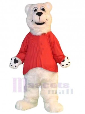 Bear mascot costume