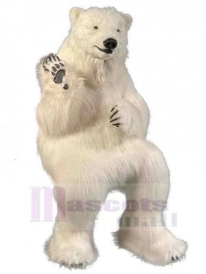 Realistic Polar Bear Mascot Costume For Adults Mascot Heads
