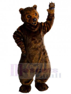 Feral Bear Mascot Costume For Adults Mascot Heads