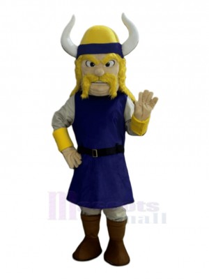 Viking Pirate mascot costume