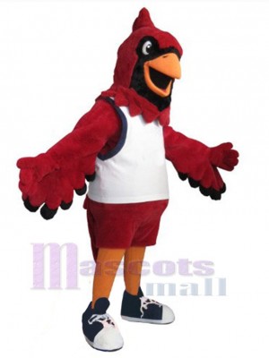 Cardinal Bird mascot costume