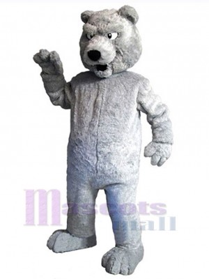 Bear mascot costume