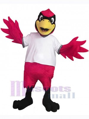 Cardinal Bird mascot costume