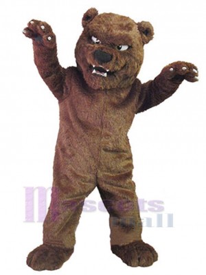 School Brown Bear Mascot Costume Animal