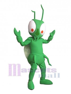 Mantis mascot costume