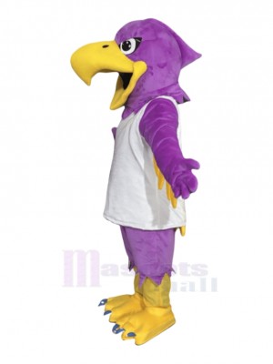 Falcon Bird mascot costume