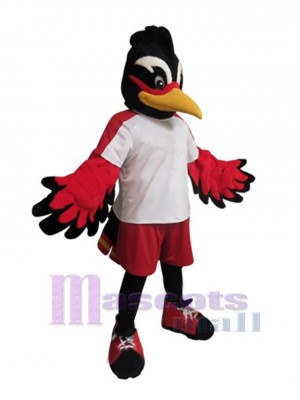 Roadrunner Bird mascot costume