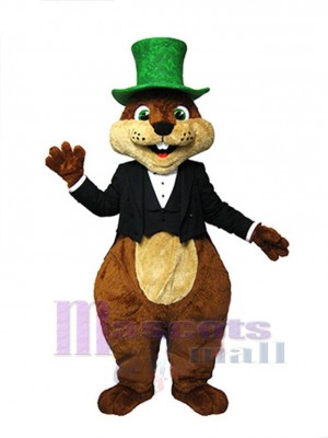 Gentle Squirrel Mascot Costume Animal