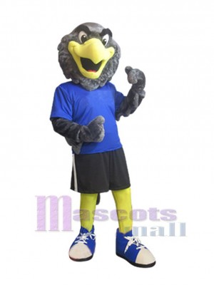 Falcon mascot costume