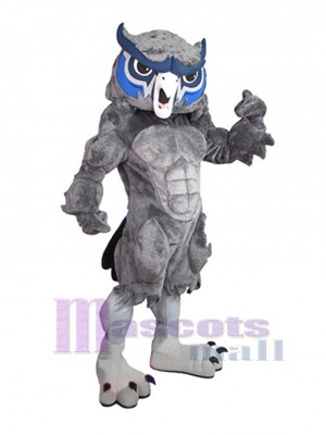 Owl mascot costume