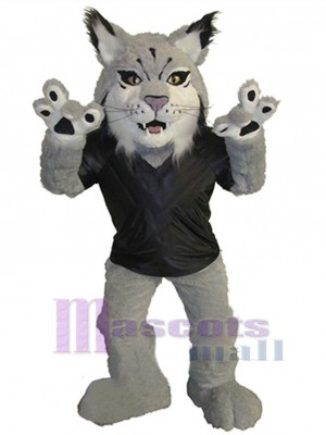 Cat mascot costume