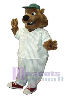 Cat mascot costume