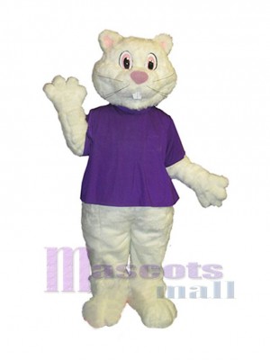 Groundhog mascot costume