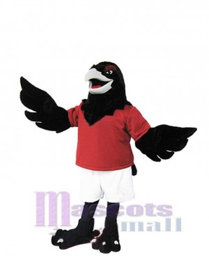 Power Raven Mascot Costume Animal