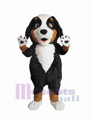 Cute Male Dog Mascot Costume Animal