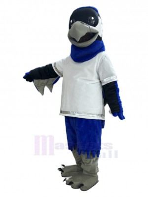 Hawk mascot costume