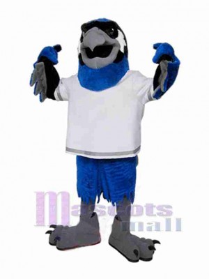 Hawk mascot costume