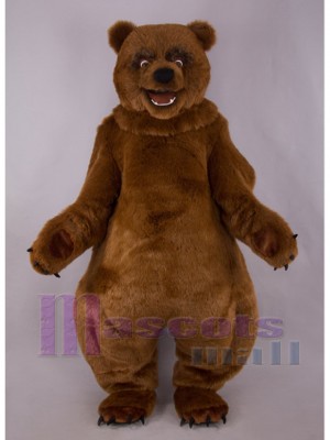 Bear mascot costume