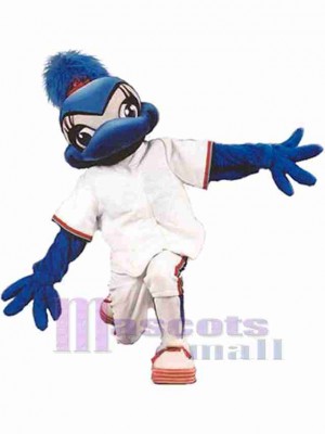 Sports Jay Bird Mascot Costume Animal
