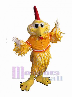 Bird mascot costume