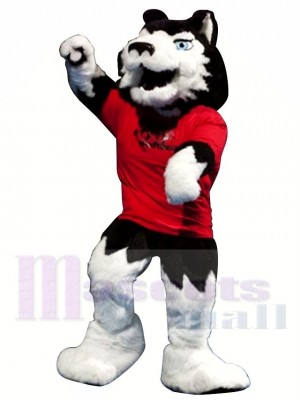 Superb College Wolf Mascot Costume 