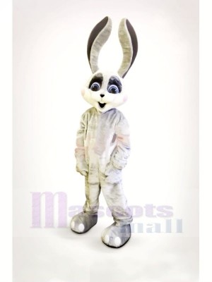 Smiling Bunny with Long Ears Mascot Costumes Cartoon