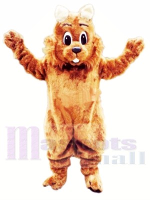 Top Quality Squirrel Mascot Costumes 