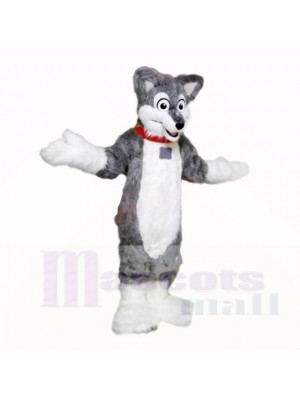 Grey Lightweight Husky Dog Mascot Costumes School