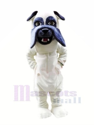 Lightweight White Bulldog Mascot Costumes