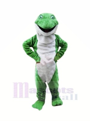 Plush Green Frog Mascot Costumes Cartoon