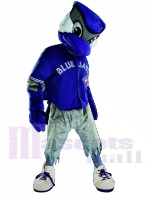 Blue Shirt Blue Jay Mascot Costume