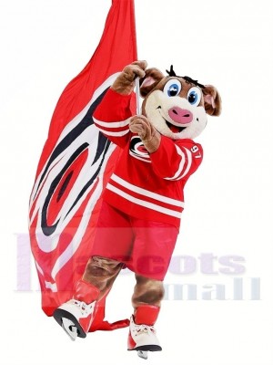 Carolina Hurricanes Stormy Mascot Costume