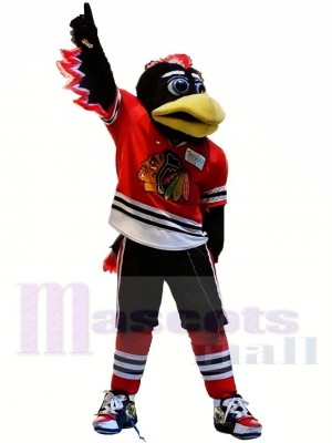 Chicago Blackhawks Tommy Hawk Mascot Costume 