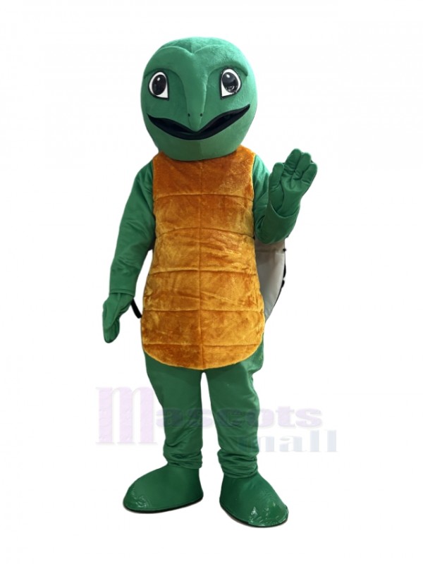 Turtle mascot costume