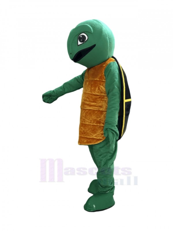 Turtle mascot costume