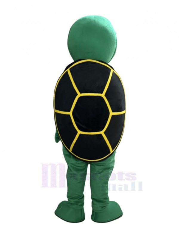 Turtle mascot costume