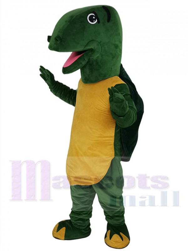 Tortoise mascot costume