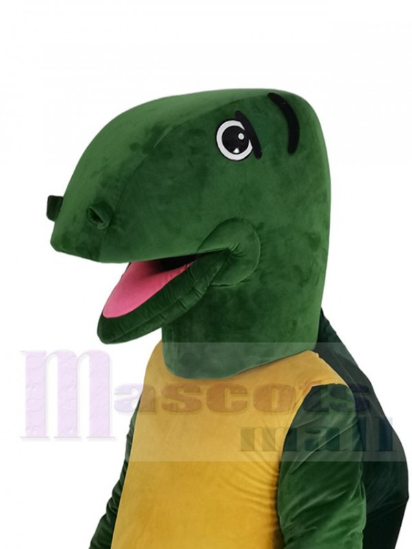 Tortoise mascot costume