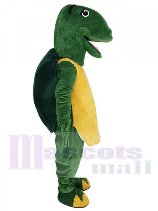 Tortoise mascot costume