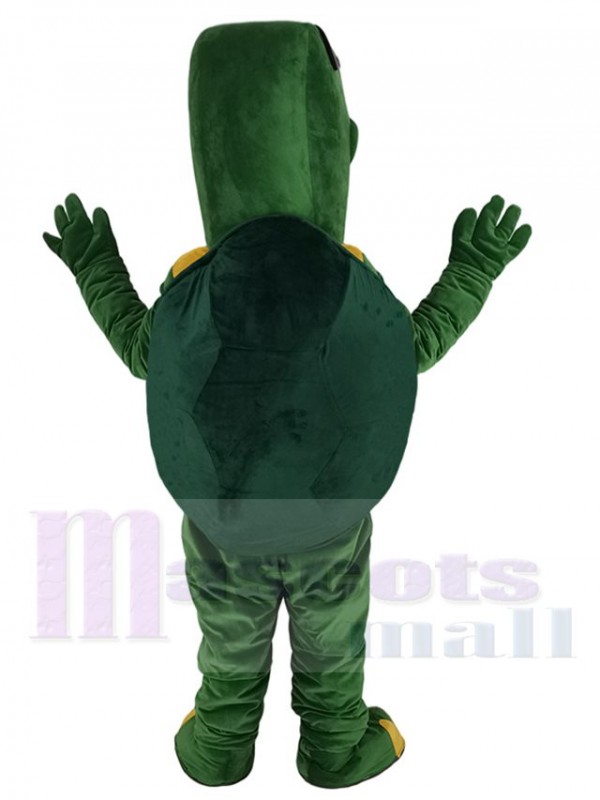 Tortoise mascot costume