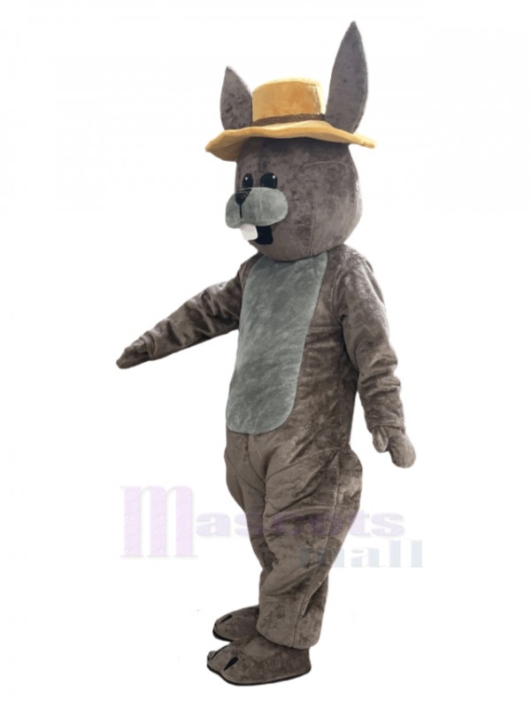 Easter Bunny Rabbit mascot costume