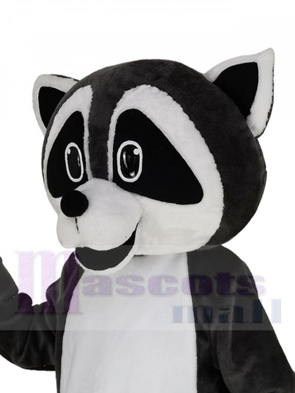 Raccoon mascot costume