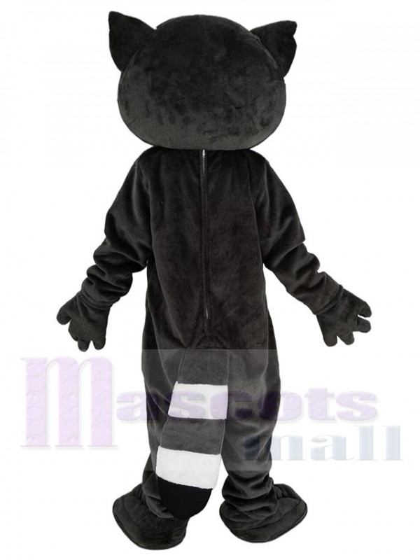 Raccoon mascot costume