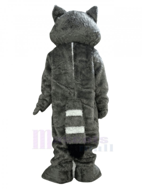 Raccoon mascot costume