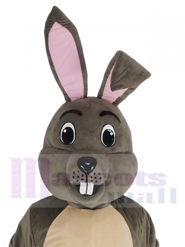 Easter Bunny mascot costume