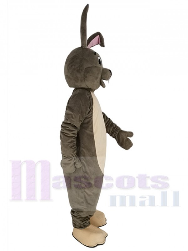 Easter Bunny mascot costume