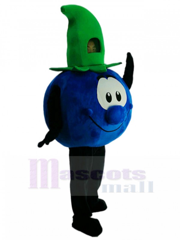 Blueberry mascot costume